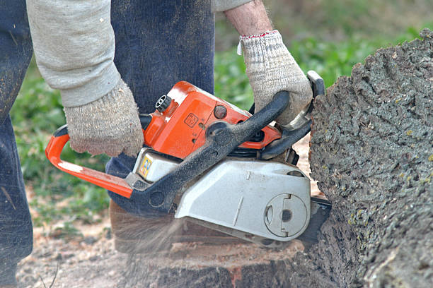 Lawn Grading and Leveling in Mattawa, WA